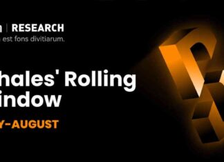 Optimizing Portfolio Allocation Amid Whales’ Rolling Window: Assassins and Rate Cuts news-20072024-033906