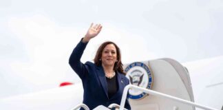 Kamala Harris’ Impact on Crypto in the 2020 Election: Analysis and Implications news-23072024-223613
