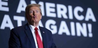 Is Donald Trump Protecting Bitcoin from Tech Stock Decline? news-24072024-203720