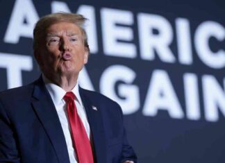 Is Donald Trump Protecting Bitcoin from Tech Stock Decline? news-24072024-203720