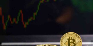 Xapo Bank Named Title Sponsor for Bitcoin 2024 Summit news-24072024-234723