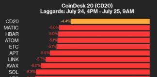 Cryptocurrency Market Update: CoinDesk 20 Index Drops 4.4% with Broad-Based Decline news-25072024-073751