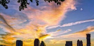 Jersey City Mayor Invests Pension Fund in Bitcoin ETFs – CoinJournal Report news-25072024-191116