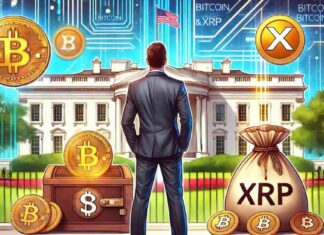 Donald Trump’s Re-election Campaign Boosted by $4 Million in Crypto Contributions news-25072024-205054