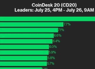 RNDR Leads CoinDesk 20 Performance Update with 12% Gain news-26072024-075120