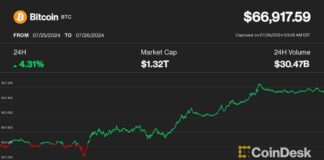BTC Dominates Crypto Market as Ether Price Falls in Reflection of Bitcoin ETF Launch news-27072024-055733
