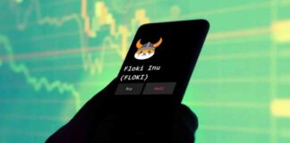 Preparing for the Next Crypto Bull Run: Poodlana Raises $3.5M news-29072024-150316