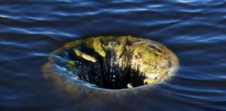 Ether ETFs Experience $340 Million Outflows in Debut Week news-29072024-170458