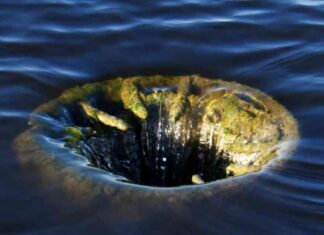 Ether ETFs Experience $340 Million Outflows in Debut Week news-29072024-170458