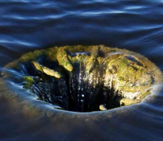 Ether ETFs Experience $340 Million Outflows in Debut Week news-29072024-170458