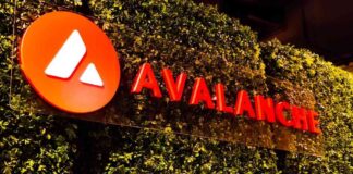 Digitization of 42M California Car Titles on Avalanche Network news-30072024-152202