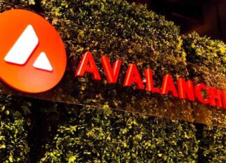 Digitization of 42M California Car Titles on Avalanche Network news-30072024-152202