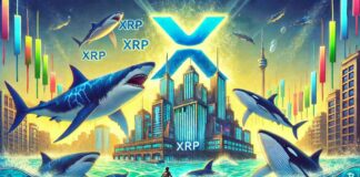 XRP Price Surges as Shark and Whale Investors Increase news-31072024-141126