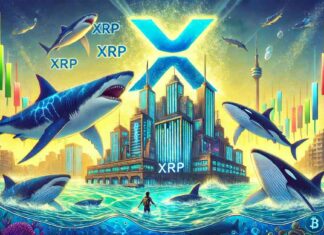 XRP Price Surges as Shark and Whale Investors Increase news-31072024-141126