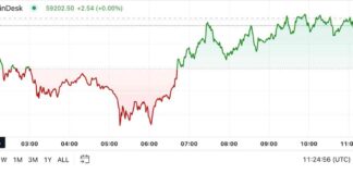 BTC Price Analysis: First Mover Americas Sees Little Change, Set to Close August with 8% Decline news-01092024-024243