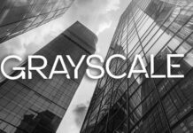 news-07082024-183206