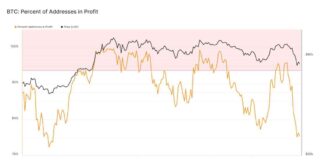 Bitcoin Profitability Before and After Halving: A Detailed Analysis news-08082024-235411