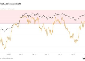 Bitcoin Profitability Before and After Halving: A Detailed Analysis news-08082024-235411