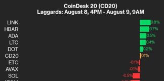 XRP’s 7.8% Decline Impacts CoinDesk 20 Performance Update news-09082024-165445