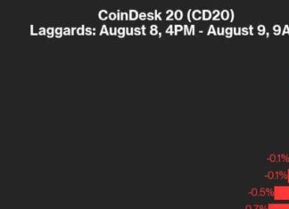 XRP’s 7.8% Decline Impacts CoinDesk 20 Performance Update news-09082024-165445