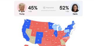 Harris Surges Ahead of Trump in Polymarket Betting Odds as Election Intensifies news-12082024-124618