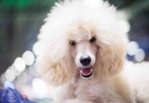 news-12082024-124712