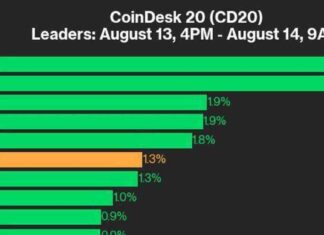 Top Cryptocurrencies RNDR and SOL Drive CoinDesk 20 Index Up 1.3% news-14082024-171149
