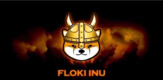 Floki Official Crypto Partner of Nottingham Forest – CoinJournal news-16082024-012924