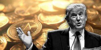 Trump’s $5 Million Ethereum Holdings & $7 Million NFT Profits news-16082024-133120