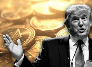 Trump’s $5 Million Ethereum Holdings & $7 Million NFT Profits news-16082024-133120