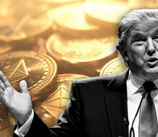 Trump’s $5 Million Ethereum Holdings & $7 Million NFT Profits news-16082024-133120