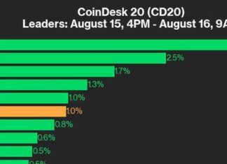 UNI Leads CoinDesk 20 with 3.8% Gains: Performance Update and Index Rise news-16082024-193618
