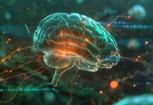 Brain Implants Forecasted to Go Mainstream in 20 Years: Tether CEO’s Prediction news-17082024-133921