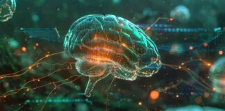 Brain Implants Forecasted to Go Mainstream in 20 Years: Tether CEO’s Prediction news-17082024-133921