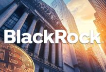 Boosting Bitcoin ETFs: BlackRock’s IBIT Receives $92.7M Inflow, Total Reaches $20.5B news-20082024-123506