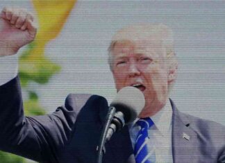 ‘Truth Social Teases ‘The DeFiant Ones’ Crypto Project by Donald Trump’ news-23082024-132722