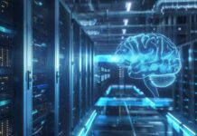 news-25082024-014015