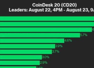 Cryptocurrency Market Update: AVAX and NEAR Surge in CoinDesk 20 Index Up 1.5% news-25082024-014039