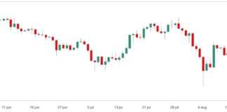 BTC Price Movement: Impact of Powell’s Jackson Hole Speech on First Mover Americas news-25082024-134146