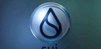 Predicting SUI and POODL Price as Binance Lists TON Meme Coin DOGS news-26082024-135139