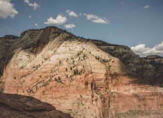 Unlocking the Truth Behind Ether ETFs’ Financial Woes news-27082024-015347