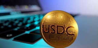 OKX introduces new USDC spot trading pairs for enhanced trading options news-27082024-135543