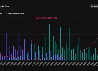 Bitcoin Price Prediction: $90,000 Target by September – Bullish Sentiment Shown in Options Trading news-28082024-141733