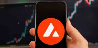 HashKey Exchange Introduces AVAX and LINK Trading Pairs for Retail Investors news-29082024-022823