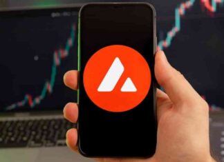 HashKey Exchange Introduces AVAX and LINK Trading Pairs for Retail Investors news-29082024-022823