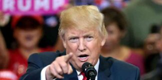 Donald Trump’s Plan to Make USA the Crypto Capital of the World news-30082024-144014