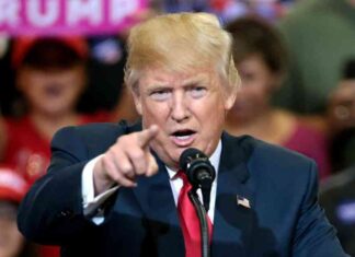 Donald Trump’s Plan to Make USA the Crypto Capital of the World news-30082024-144014