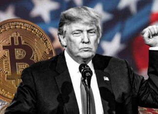 Trump’s Support for Bitcoin Boosts Lead Over Harris in FDU Poll news-02092024-024423