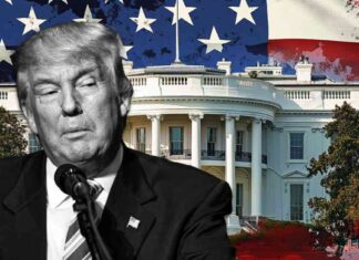 Concerns Over Trump Family Crypto Project’s Conflict of Interest news-03092024-024600