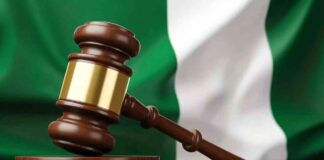 Nigerian Court Delays Bail for Ailing Binance Executive to October news-05092024-025017
